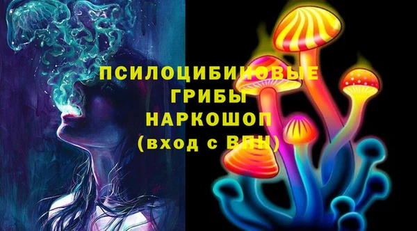 spice Армянск