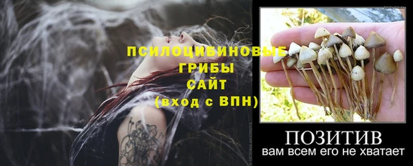 мдпв Балабаново